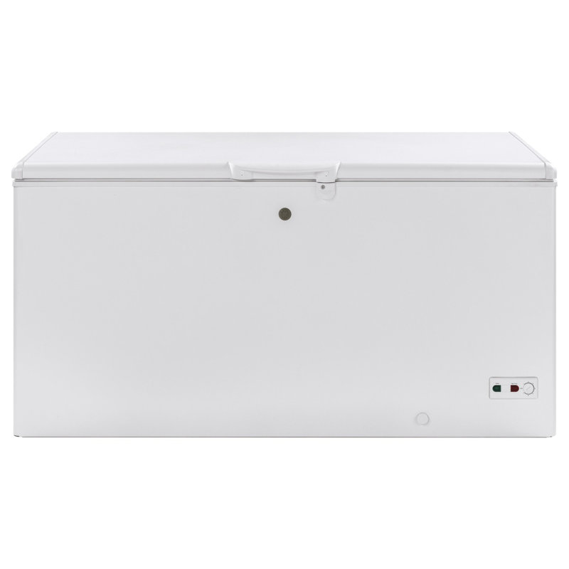 GE Appliances Garage Ready 15.7 cu. ft. Chest Freezer & Reviews | Wayfair